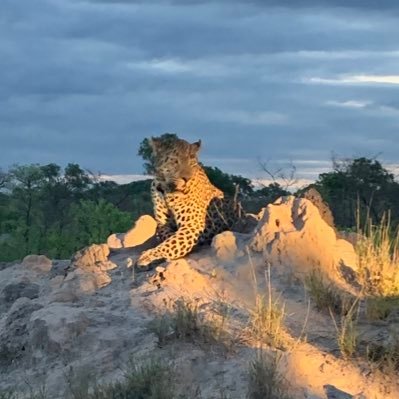 owengtaylor's profile picture. 