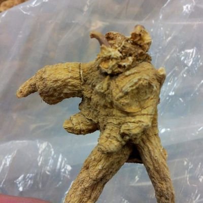 LESdude's profile picture. 