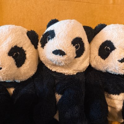 HmbeeO's profile picture. 好きな物が好き🤹⚾️🥁🕺🧺🫧 成人済 OKAMOTO'S/carp/ANN/メンズノンノモデル…