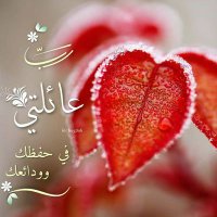 القمر البيض (@dhflp31xjisib4f) Twitter profile photo