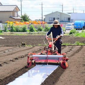 神奈川県相模原市の1.2ｈの畑で野菜・果実栽培をしています。定年退職後専業農家となり、無農薬・減農薬栽培で、週三回一人直売を行っています。
#小さな農家#無農薬減農薬#緑肥栽培#薪ストーブ＃カーボンニュートラル＃😋レシピ

YouTubeで配信中
https://t.co/7257u4ulkf