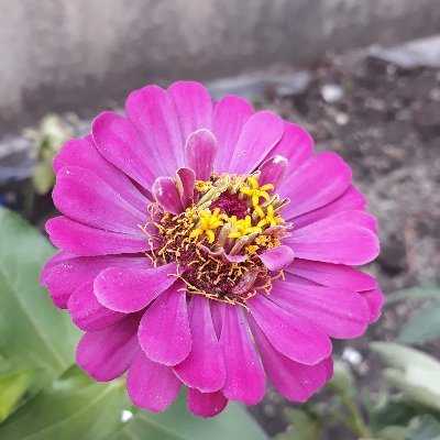 Erdi05534139's profile picture. 