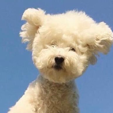 mdtxm2111's profile picture. 人生しんどかった 50主婦の愚痴 無言フォローごめんなさい