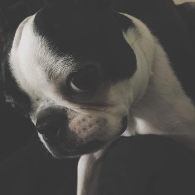 ksaravudh's profile picture. Less is More Small is Beautiful