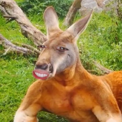 Kazuma19970824's profile picture. 