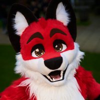 Xavier Fox(@XavierFox19) 's Twitter Profileg