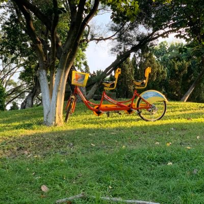 ShaoweiCui's profile picture. 