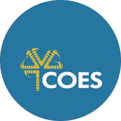 El COES es una entidad privada, sin fines de lucro. Está conformado por todos los Agentes del SEIN.