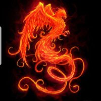 Phoenix Rising #MakeAmericaNativeAgain #MANA #Exmo (@phoenixarising4) 's Twitter Profile