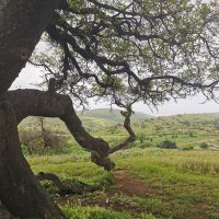 ماجد (@majid59515951) Twitter profile photo