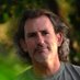 Andoni Canela (@andonicanela) Twitter profile photo Andoni Canela (@andonicanela) Twitter profile photo