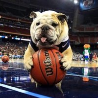 SIBulldogs (@bulldogs_si) 's Twitter Profile