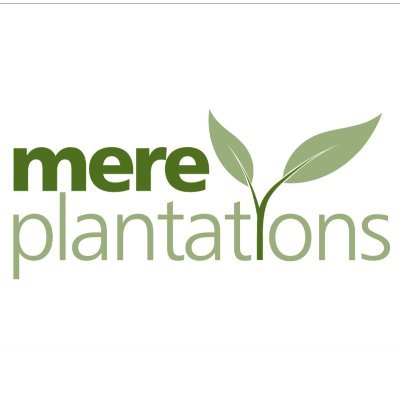 Mere Plantations
