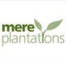MerePlantations's profile picture. We are a U.K. based company with over 15 years experience in reafforestation of degraded forest land.