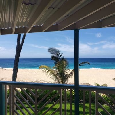 mrgrumpy001's profile picture. Attack life, it's going to kill you anyway.