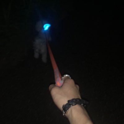Yu__KiTo3's profile picture. 