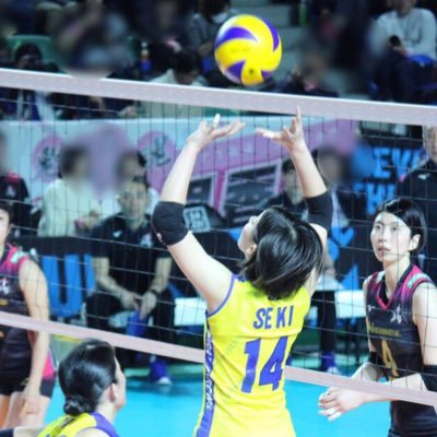 yuvb_s's profile picture. 東レアローズ応援しています！スポーツ大好きです。無言のフォロー申し訳ありません🙇‍♀️💦お気軽にフォローお願いします😊