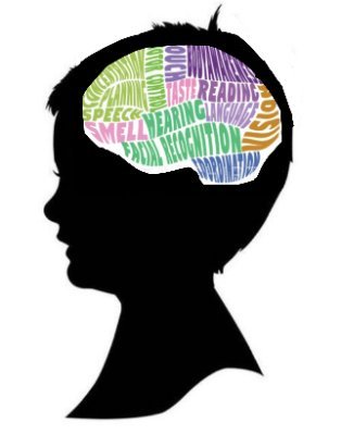 Alabama Association for Gifted Children Profile