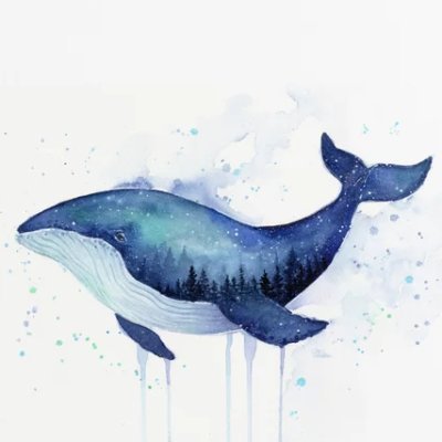 I am really one whole whale. (Not) a scam.