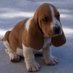 Cerberus's Little Brother (@dovah_basset) Twitter profile photo