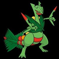 Sceptile720 (@sceptile720) 's Twitter Profile