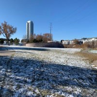 .,. (@sla2024) 's Twitter Profile