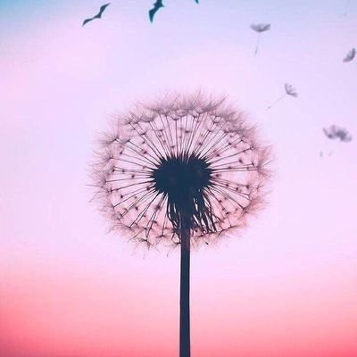 Leslie30279605's profile picture. Futbolista🇩🇴⚽️
Dance😍
10💫