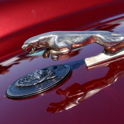 andrew_europe's profile picture. 