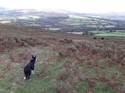 Organic farmer.Farming beef sheep and malting barley in the foothills of wicklow mountains.Interested in sustainable farming in harmony with nature.