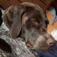 Curtis Clogston (@curtisclogston) 's Twitter Profile