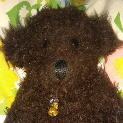 I am a proud member of #ToddysHug who now lives with @MyBuddyMyBear & @Tiny_Duffy_. I am so pleased to connect/reconnect with everybear! 

p.s. I loves cake! ❤️