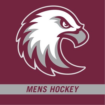 Offical Twitter account for the Augsburg University Men’s Hockey Team #AuggiePride #d3hky