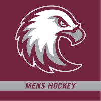 Augsburg Men's Hockey(@Auggie_Hockey) 's Twitter Profile Photo