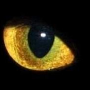 Ahmed_Elg3fary's profile picture. ‏‏‏‏المهم في نهاية المطاف.. أن تجد الروح التي ترى فيها روحك💙✈️
‎