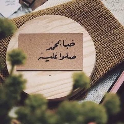 hanamoh65548655's profile picture. 