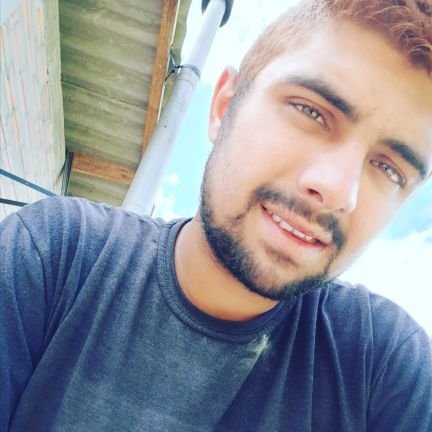 Will42900176's profile picture. minha inteligência