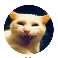 Allie_cat_Lady Is Pissed!(@AlliecatLady1) 's Twitter Profile Photo