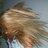bubbledavies123's profile image