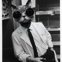 ZED (@robertzilbauer) 's Twitter Profile Photo