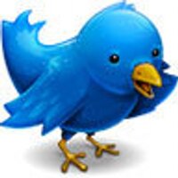 New Social Network (@a_socialnetwork) 's Twitter Profile