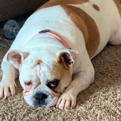 KWeabs's profile picture. Saved by God's grace, husband, father of 4 amazing girls, real estate agent with M&D Real Estate Group, Plexus Ambassador,