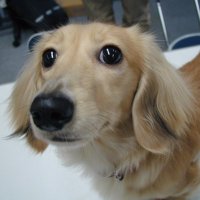 まゆりん (@60urldiow40bpjs) 's Twitter Profile Photo