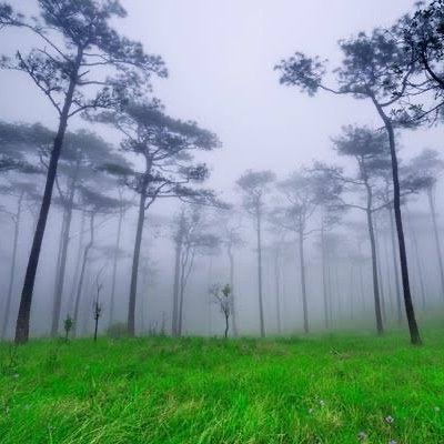 ihm_sg's profile picture. ชายเดี่ยว ที่เมียยังรับด้านนี้ไม่ได้

ออกแบบแอบเมียครับ