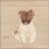Avatar of TTM-LUPE