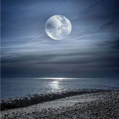 victo74lopez's profile picture. 