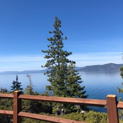 finlplanb's profile picture. looking for adventure