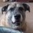 DaphneNelson74's avatar