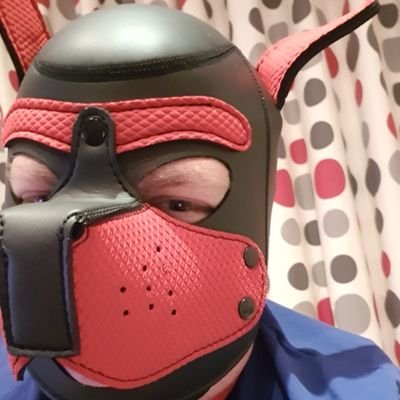 32 Gay Im a  🐶 
😈😈😈, up for kinky fun, the kinker the better. Based in Dublin 🇮🇪.
On prep, more ⬆️, open to bottoming, with the right guy/ pup