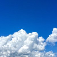 るい (@joy4joy42) Twitter profile photo