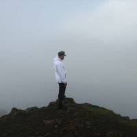 Thomas Immele (@apicula_tv) 's Twitter Profile